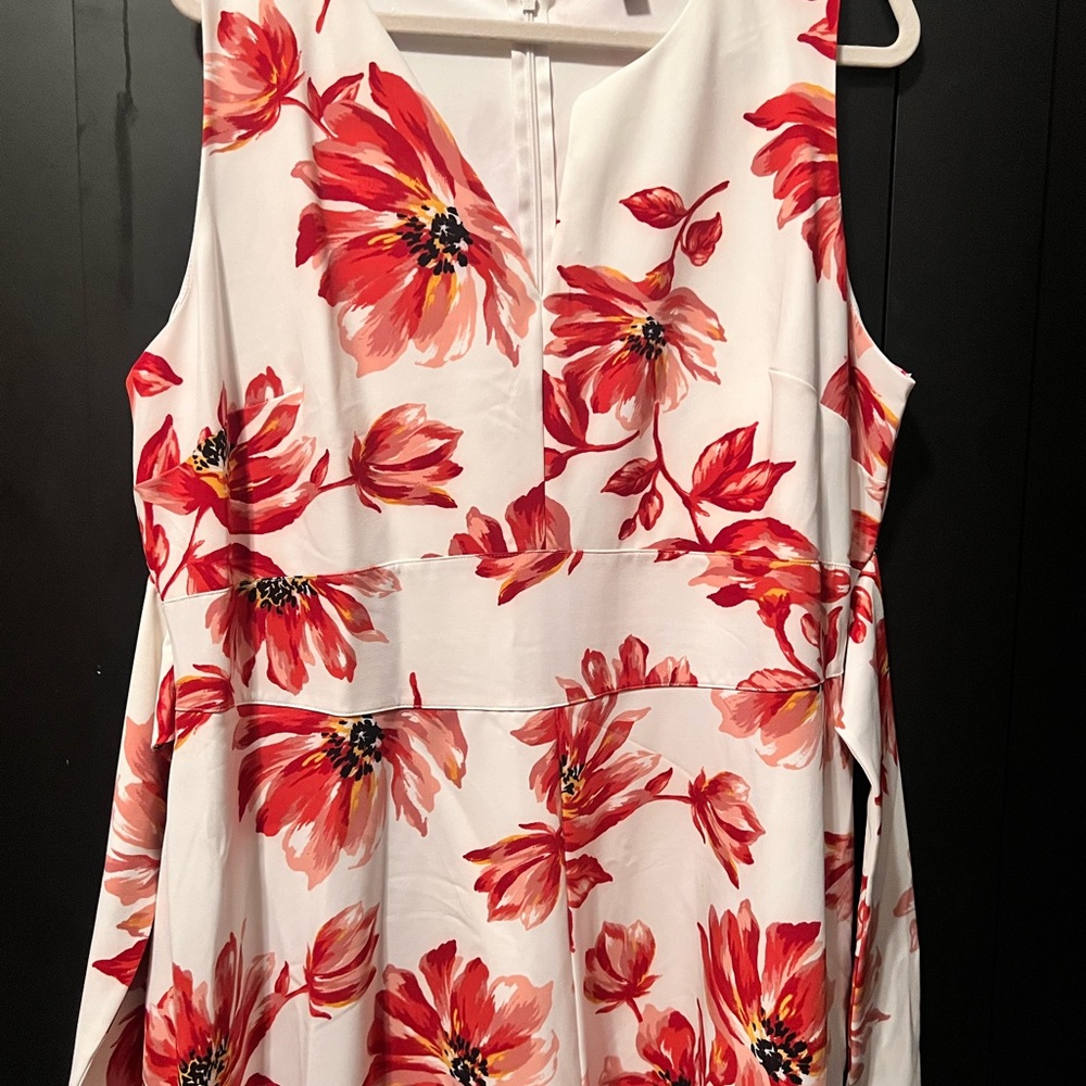 Lane Bryant Dress